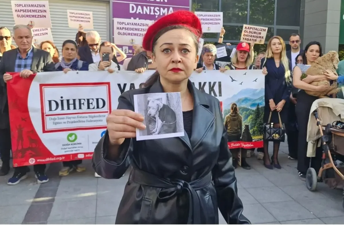 Ankara'da  Dünya Hayvanları Koruma Günü basın açıklaması